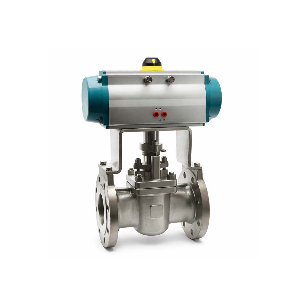 Pnömatik Aktüatörlü Plug Vanalar